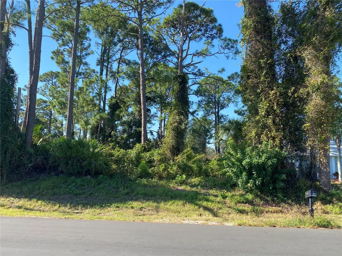 2512 Fern Palm Drive, Edgewater, FL 32141 - Image #1