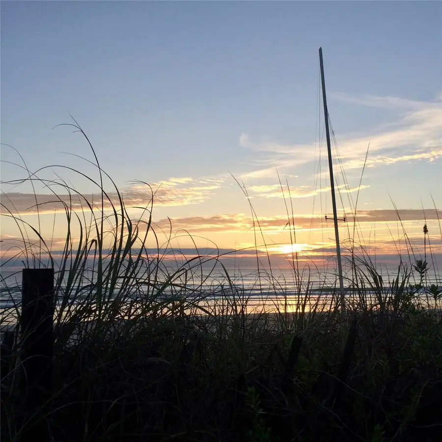 6320 S Atlantic Avenue, New Smyrna Beach, FL 32169 - #3