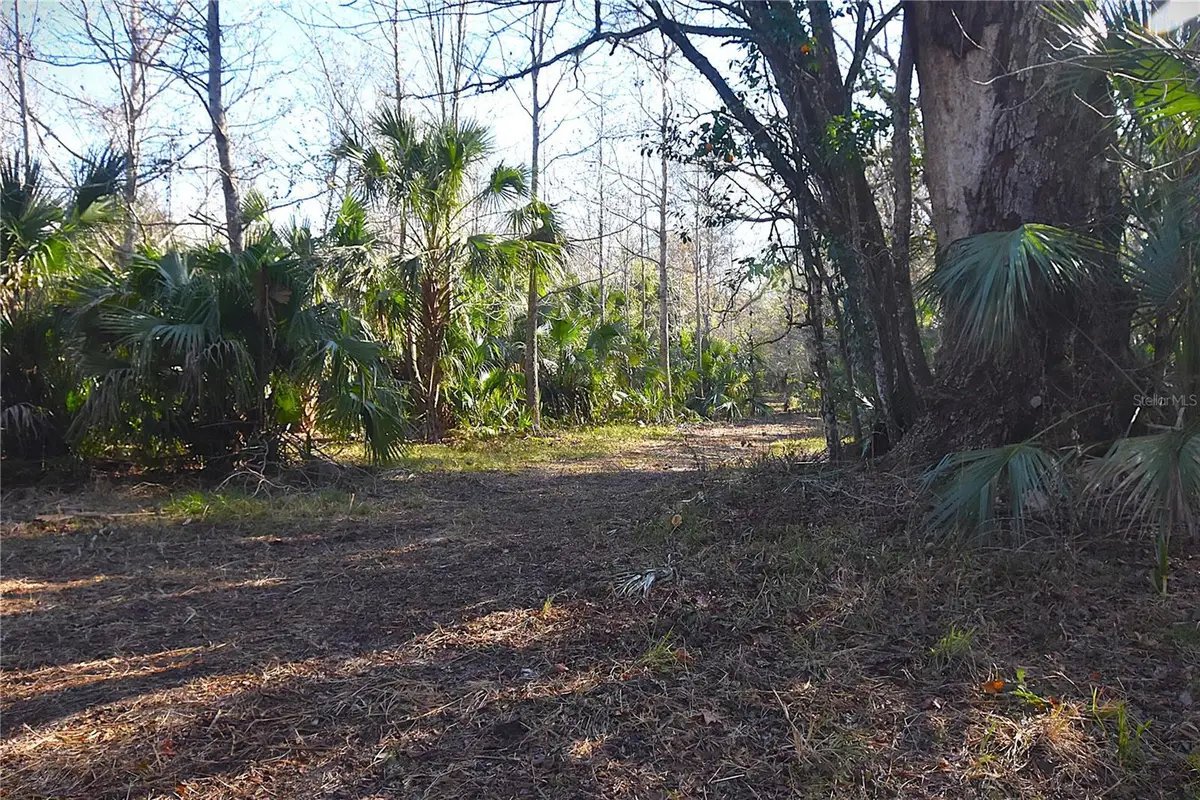 4721 Lingo Grove Road, Edgewater, FL 32141 - Image #1