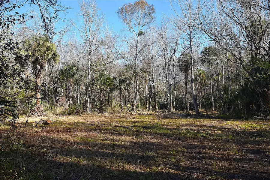 4721 Lingo Grove Road, Edgewater, FL 32141 - Image #3