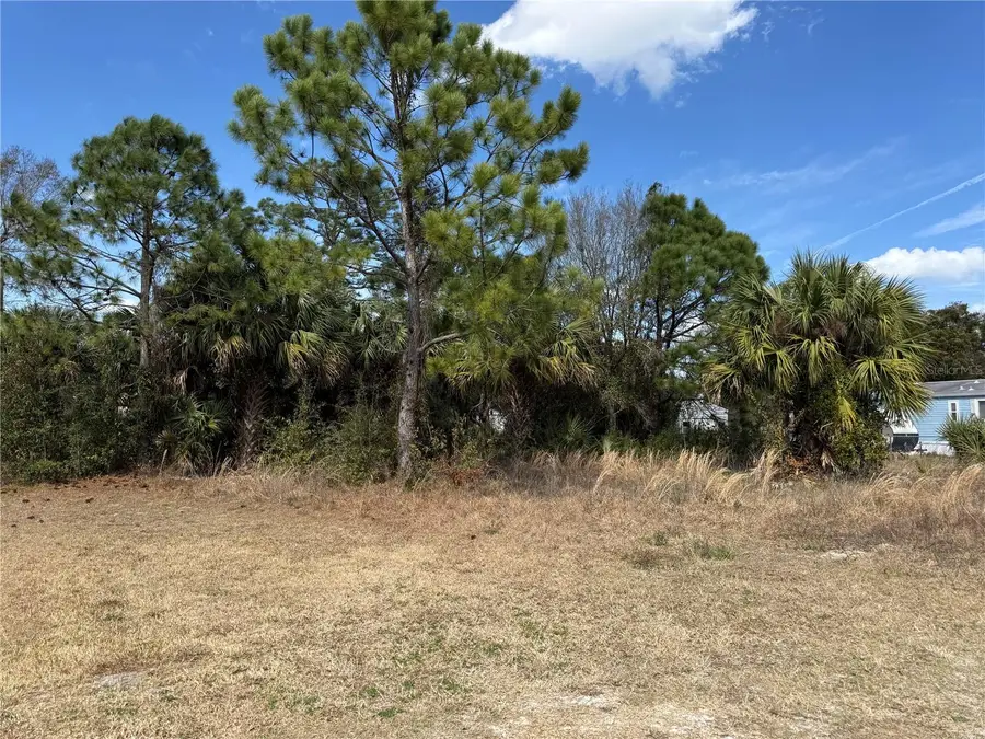 1069 Massey Road, New Smyrna Beach, FL 32168 - #3