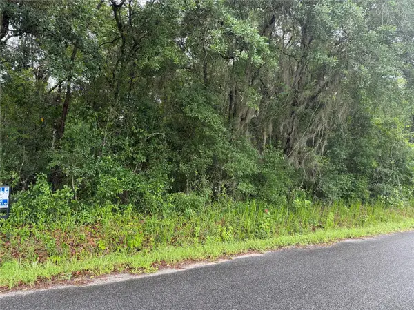 241 Dog Branch Road, EAST PALATKA, FL 32131