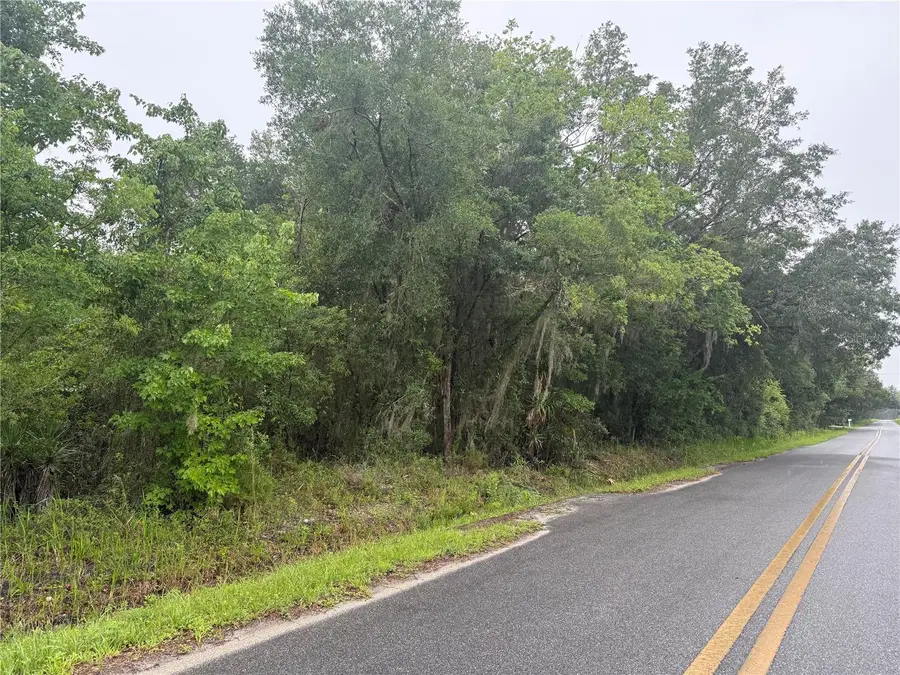 241 Dog Branch Road, East Palatka, FL 32131 - #2