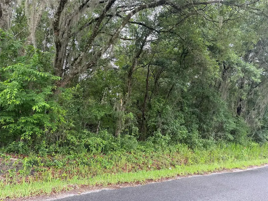 241 Dog Branch Road, East Palatka, FL 32131 - #3