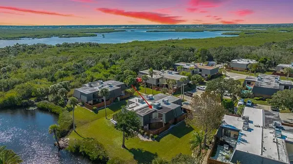 113 Cedar Dunes Drive, NEW SMYRNA BEACH, FL 32169