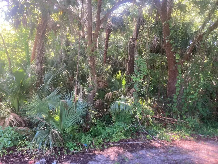0 Nancy Street, Oak Hill, FL 32759 - #3