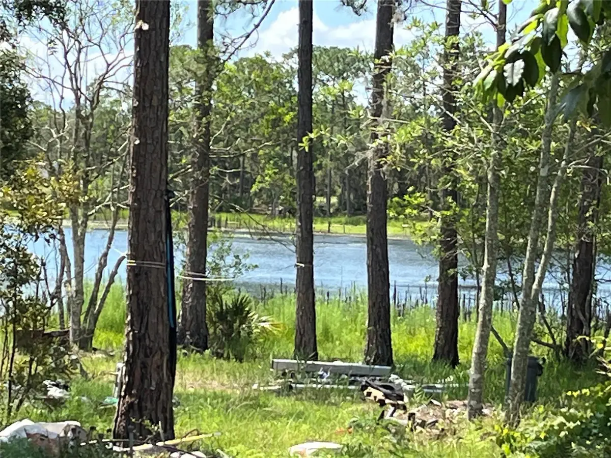 42334 W Lake Road, Deland, FL 32720 - #1