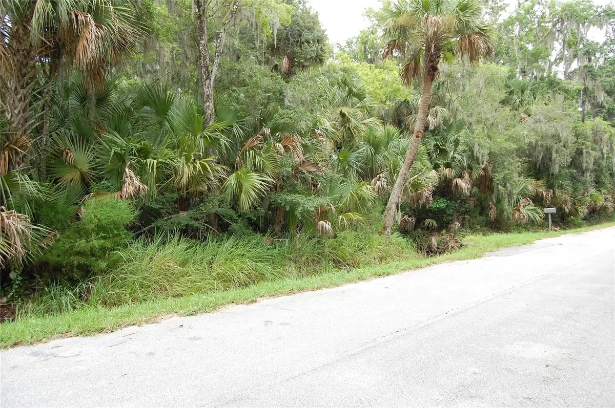 Palm Drive, New Smyrna Beach, FL 32168 - #1