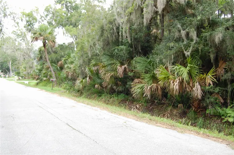 Palm Drive, New Smyrna Beach, FL 32168 - #2