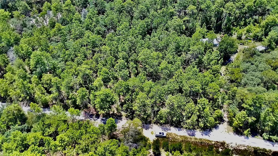 121 Pear Street, Welaka, FL 32193 - #3