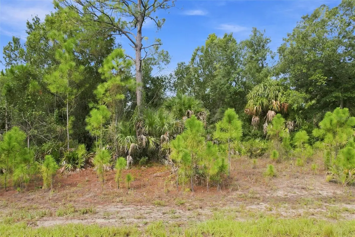 Dunmore Street, North Port, FL 34288 - #1