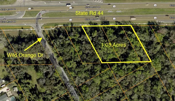 0 State Rd 44, NEW SMYRNA BEACH, FL 32168