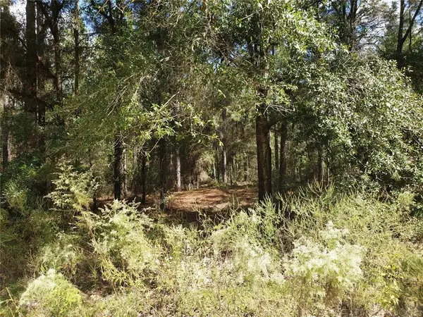 SW 38th Street Road, OCALA, FL 34481