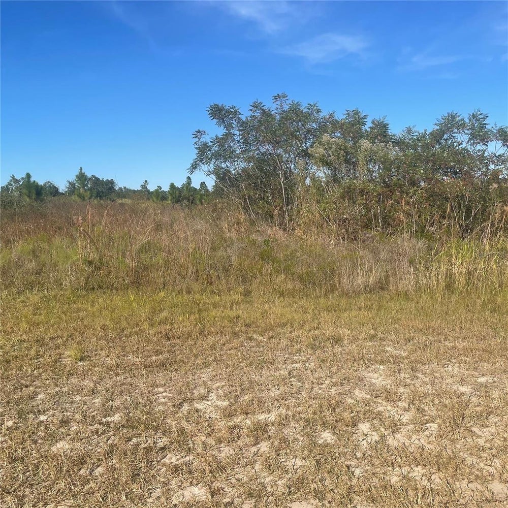 Address Withheld By Seller, INDIAN LAKE ESTATES, FL 33855 BHGRE