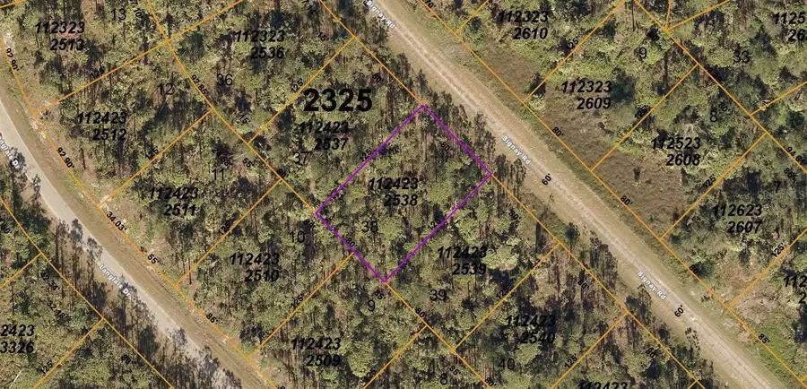 Bignay Road, North Port, FL 34288 - #2