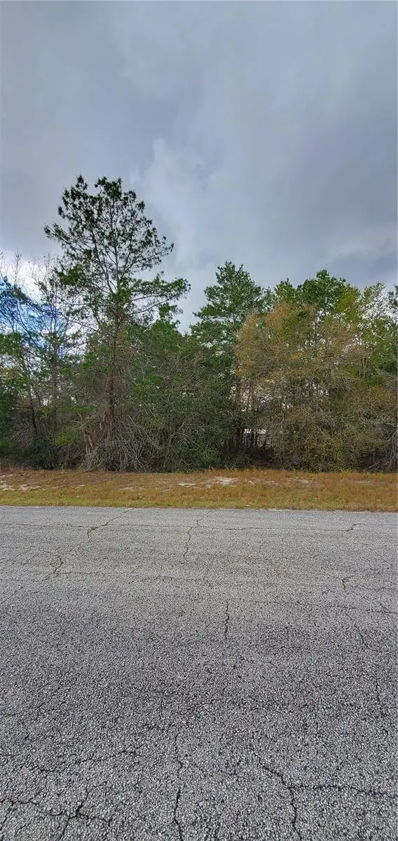 1428 Hillsborough Drive, POINCIANA, FL 34759