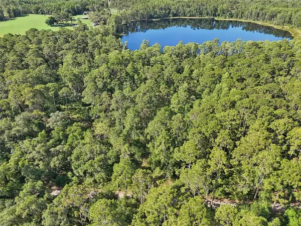 Edgehill Drive, GROVELAND, FL 34736