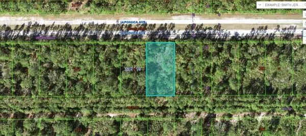 1103 Japonica Avenue, INDIAN LAKE ESTATES, FL 33855