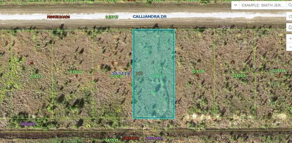 Calliandra Drive, LAKE WALES, FL 33855