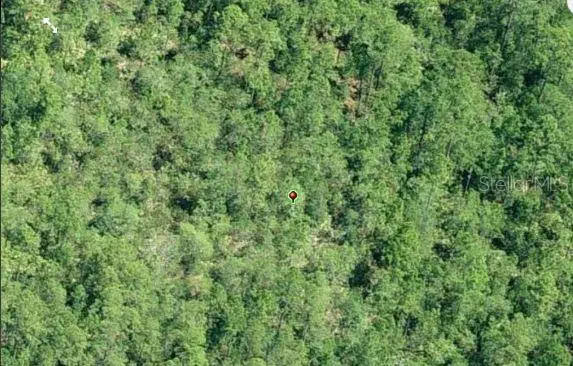 E Colonial Drive, Orlando, FL 32820 - Image #3