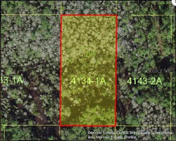 Holopaw Groves Road, Saint Cloud, FL 34773 - Image #2