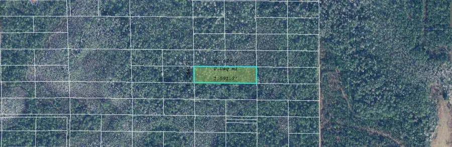 Dill Road, Bithlo, FL 32820 - Image #2