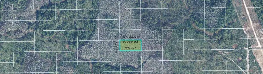 Dill Road, Orlando, FL 32820 - Image #2