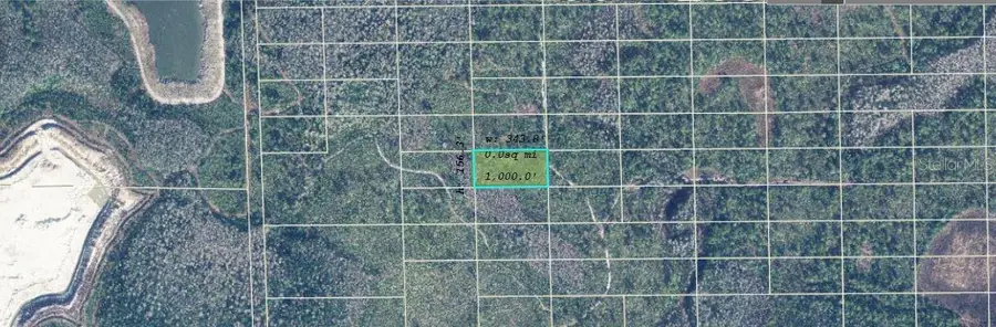 Dill Road, Orlando, FL 32820 - Image #2