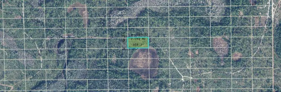 Dill Road, Orlando, FL 32820 - Image #2