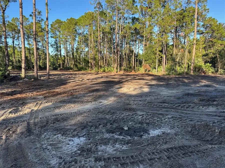 1090 Homestead Cove, Geneva, FL 32732 - Image #2