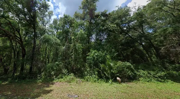 Address Withheld By Seller, HERNANDO, FL 34442