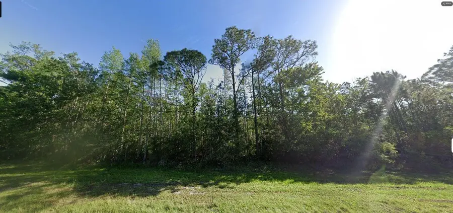 Dill Road, Bithlo, FL 32820 - #2