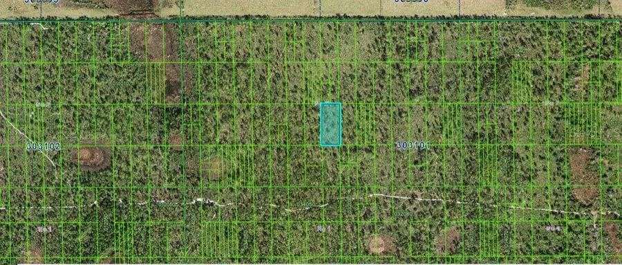 Shady Oaks Dr, Lake Wales, FL 33898 - Image #3
