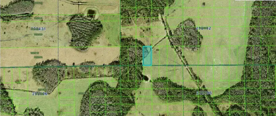 Commonwealth Ave N, Polk City, FL 33868 - Image #3