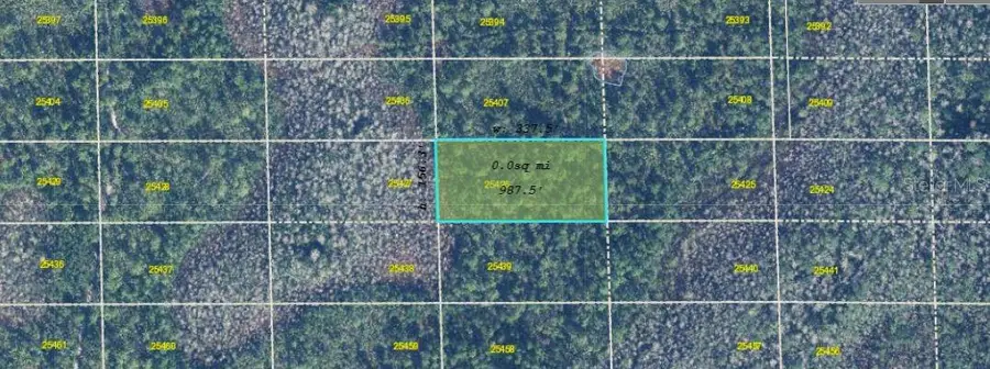 Dill Road, Orlando, FL 32820 - Image #3