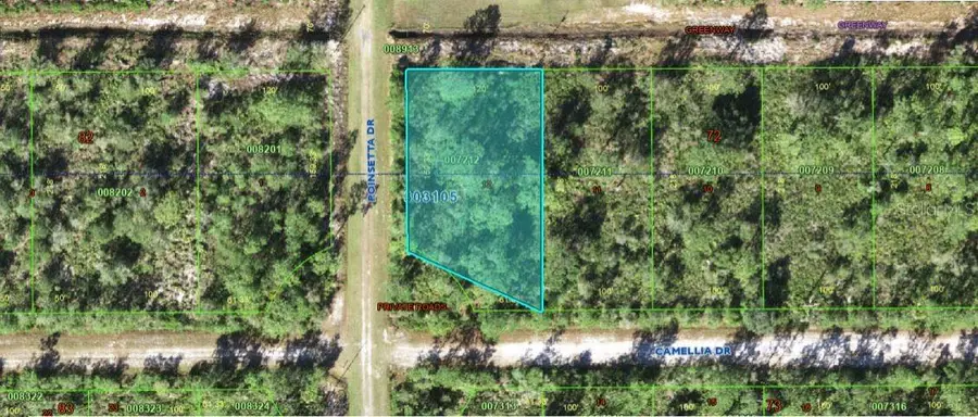 224 Camellia Drive, Indian Lake Estates, FL 33855 - Image #2