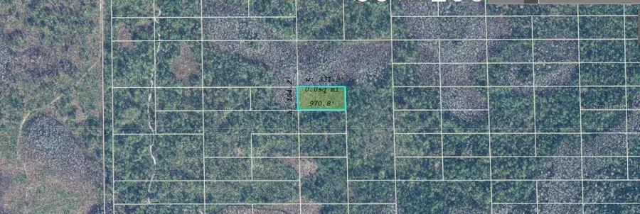 Dill Road, Orlando, FL 32820 - Image #2