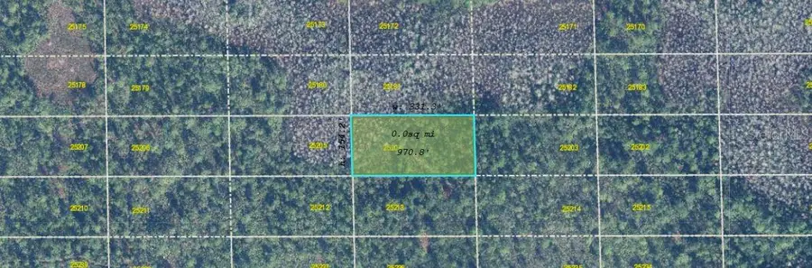 Dill Road, Orlando, FL 32820 - Image #3