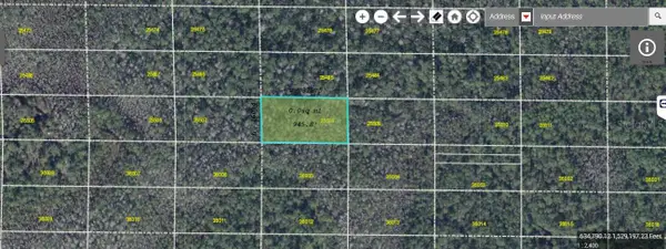 Dill Road, ORLANDO, FL 32820