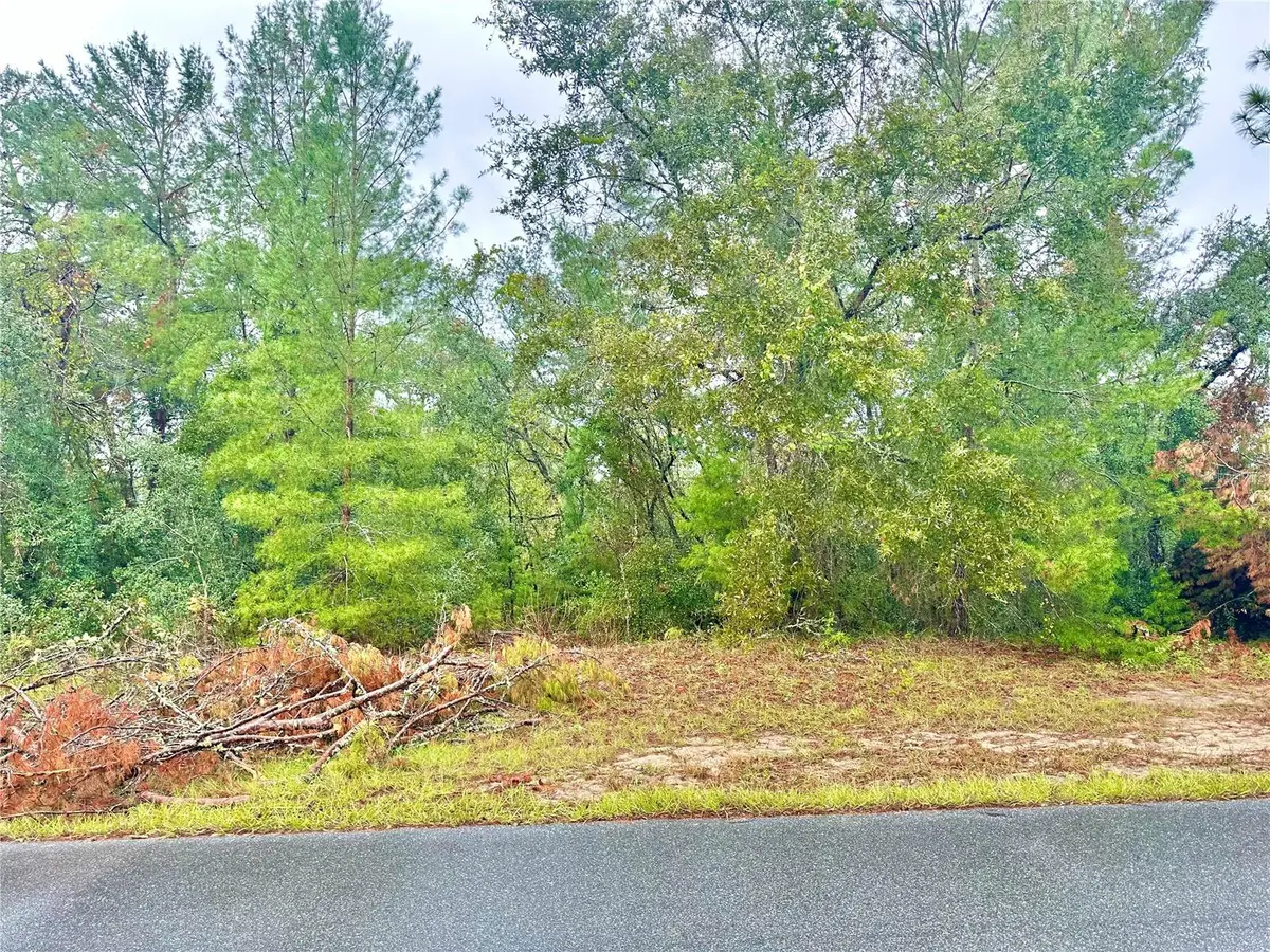 TBD SW 46th Terrace #Lot 41, Ocala, FL 34473 - Image #1