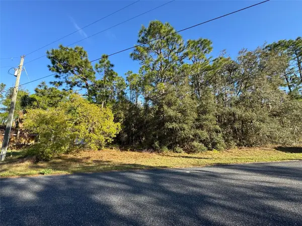 7896 N Triana Drive, CITRUS SPRINGS, FL 34434