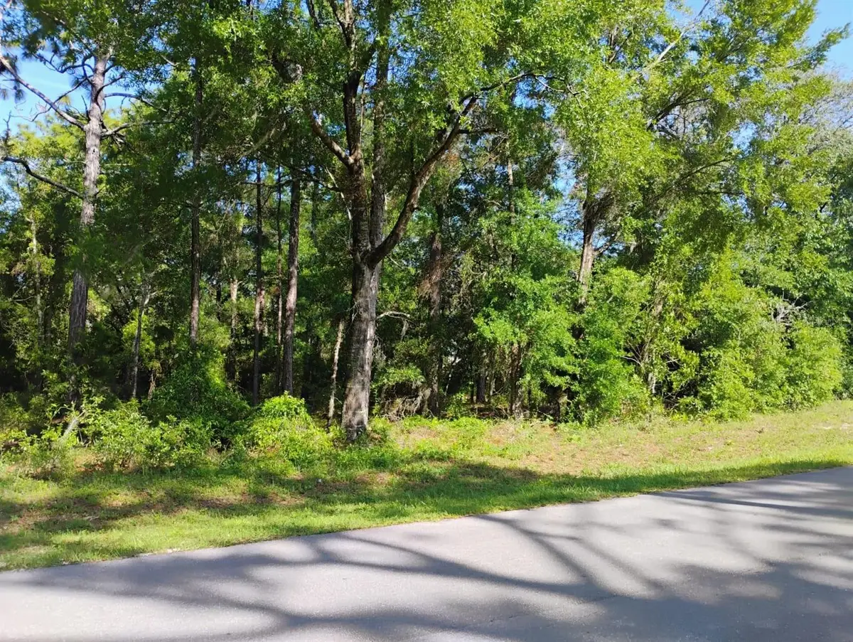 North East 155th Court, Williston, FL 32696 - #1