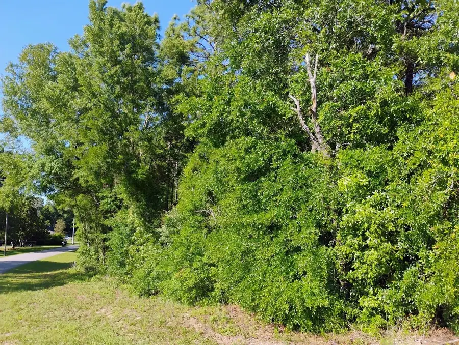 North East 155th Court, Williston, FL 32696 - #3