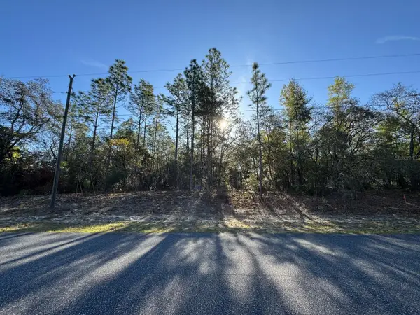 8161 N Triana Drive, CITRUS SPRINGS, FL 34434