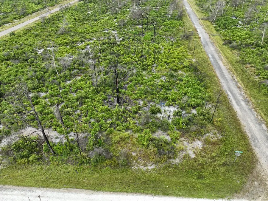 3520 Mariana Avenue, Lake Placid, FL 33852 - Image #3