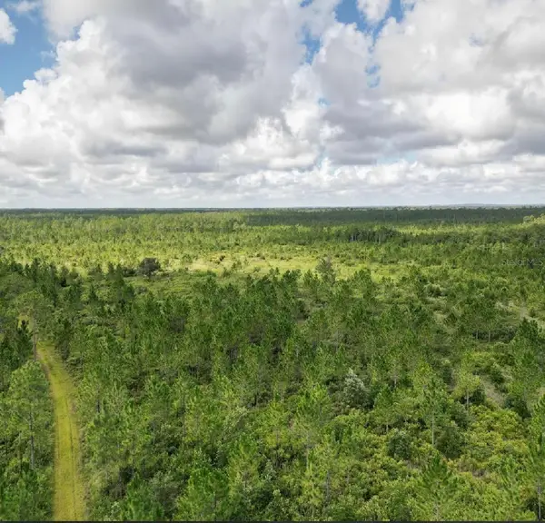 Racetrack, HUDSON, FL 34667