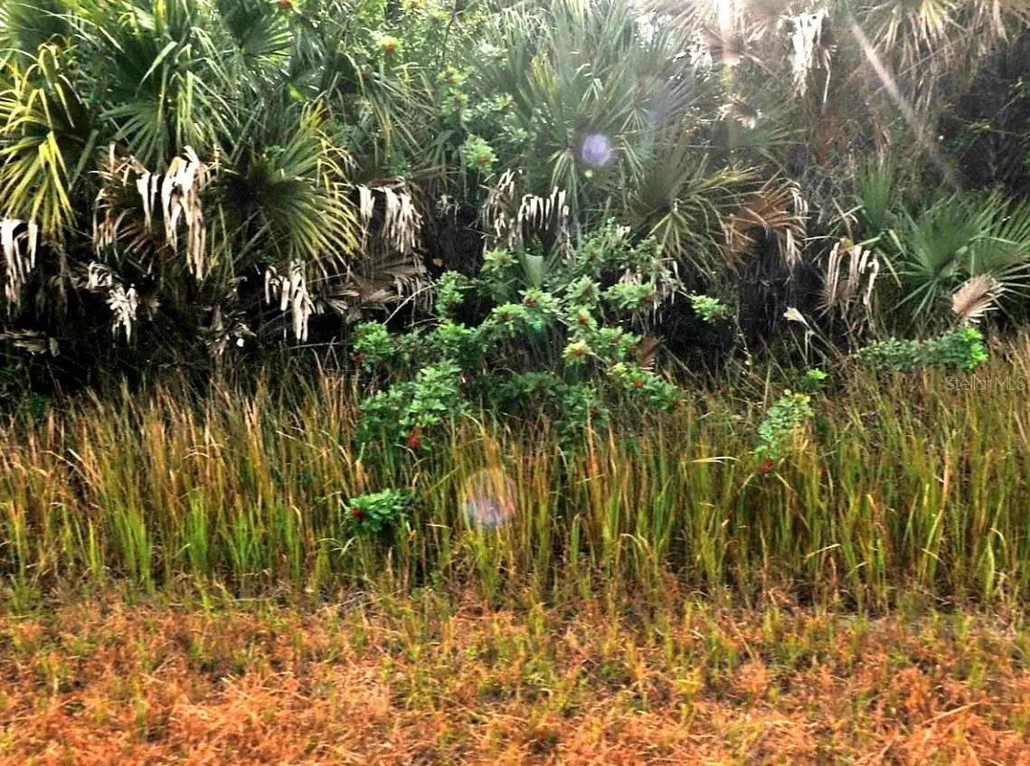 Sernice Street, North Port, FL 34288 - Image #1