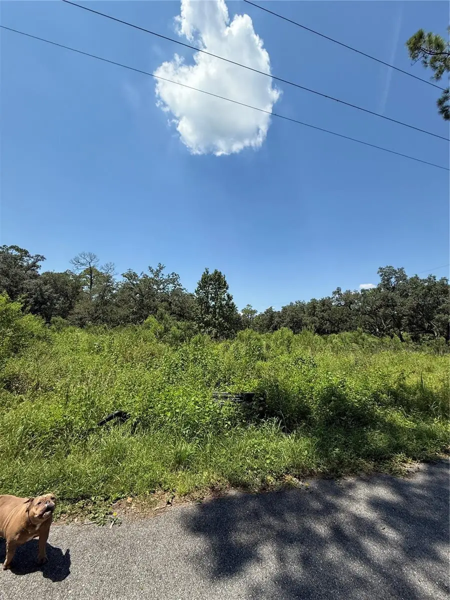 1356 Montzen Road, Davenport, FL 33896 - Image #1