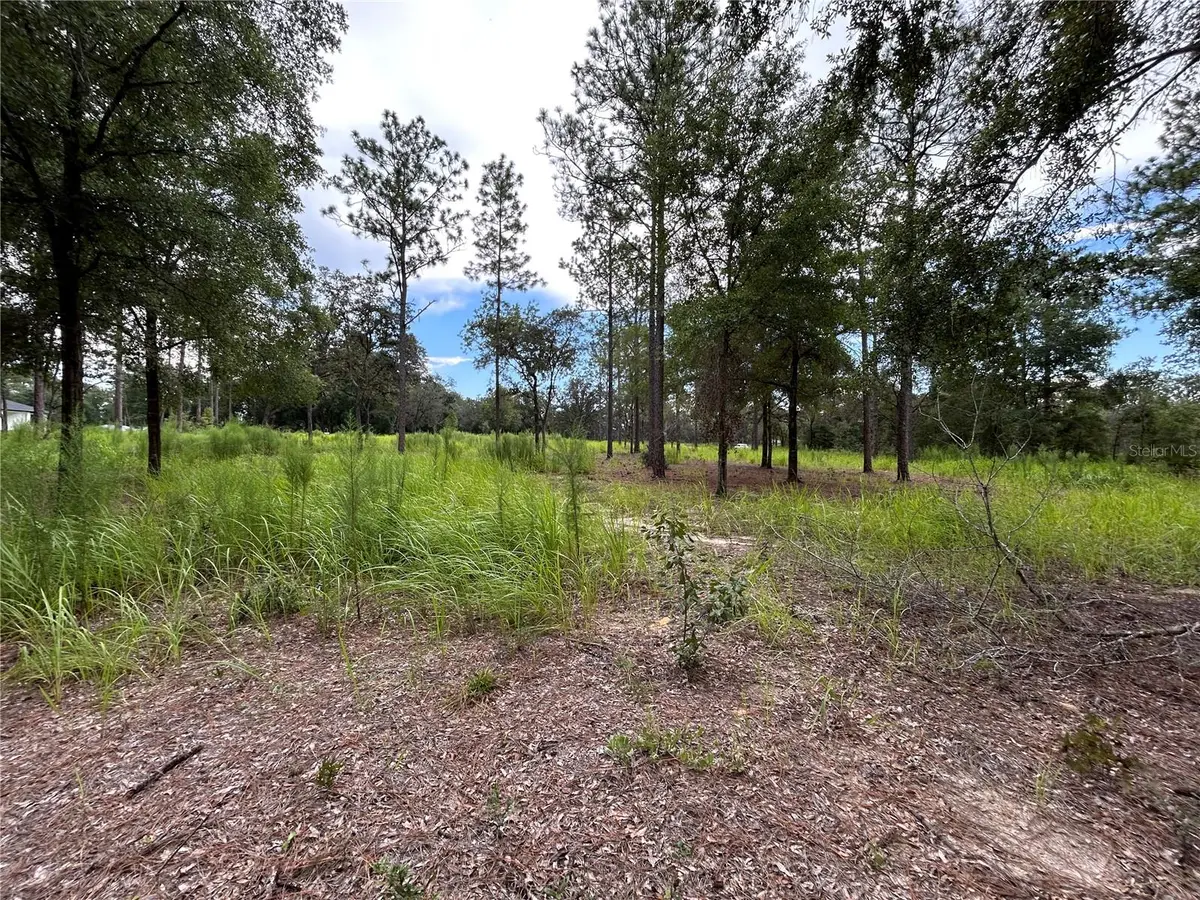 16051 SW 44 Street, Ocala, FL 34481 - Image #1