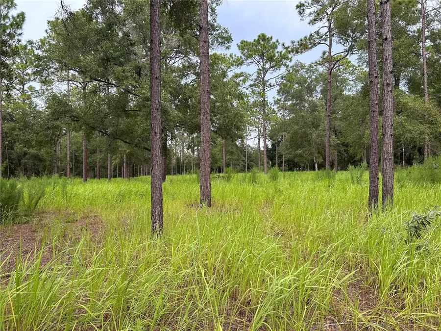 16051 SW 44 Street, Ocala, FL 34481 - Image #2